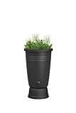 Elho Green Basics Regentonne Plus 110LTR - Regentonne für Züchten Und Ernten - Ø 58.4 x H 80.4 cm - Schwarz/Living Schwarz